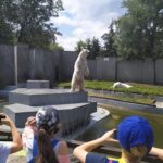 Uczniowie oglądają niedźwiedzia polarnego w zoo
