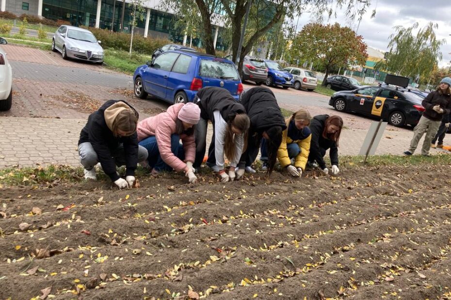 Uczniowie zasadzili 600 sztuk cebulek żonkili