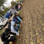 Uczniowie zasadzili 600 sztuk cebulek żonkili